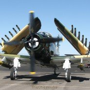 Labor Day Air Show at the Provo Airport Labor day 09.jpg